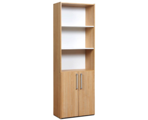 Biblioteca Mesina 5 Espacios y 2 Puertas