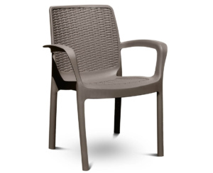 Silla Guinea Ratán con apoyabrazos